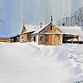 Winter Shadows